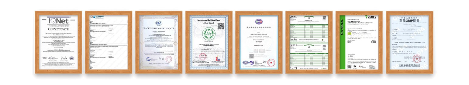 vitamin B6 Supplier vitamin B6 Supplier