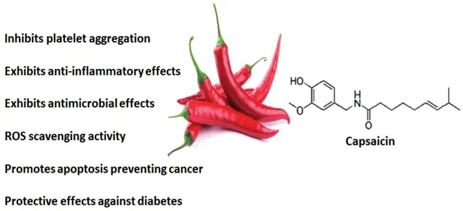 Capsaicin Powder Capsaicin Powder