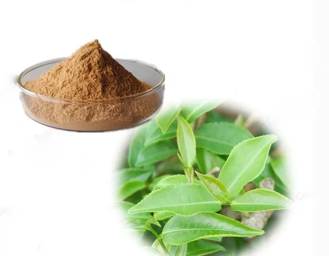 tea polyphenols1 tea polyphenols1