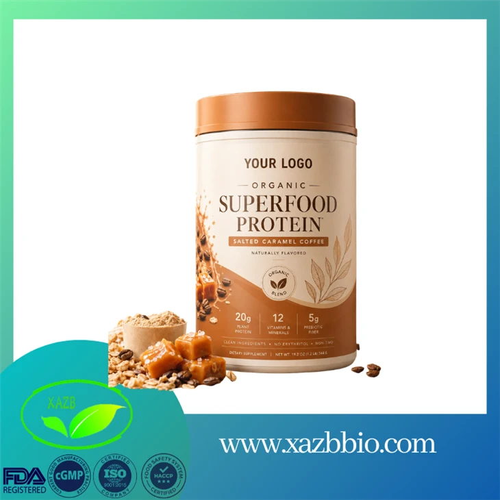 Organic Superfood Plant‑Based Protein Powder suppliers