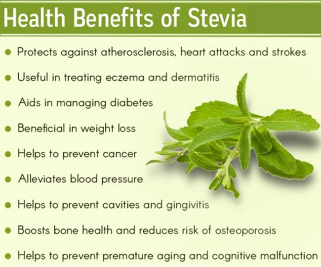 stevia extract benefits stevia extract benefits