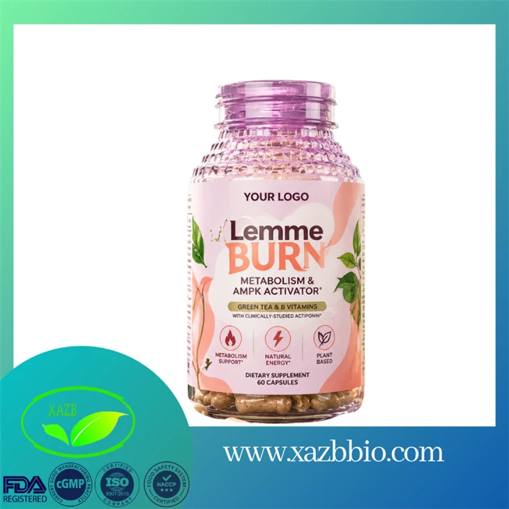 Plant Based Lemme Burn Supplement Capsules