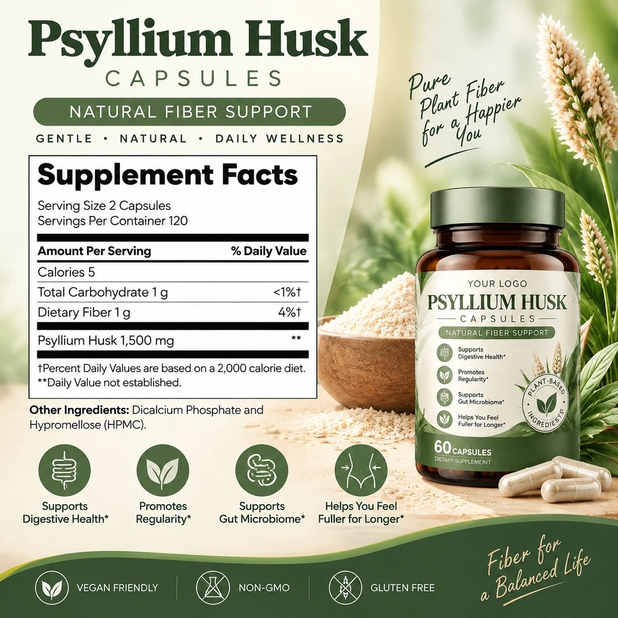 Psyllium Husk4 Psyllium Husk4