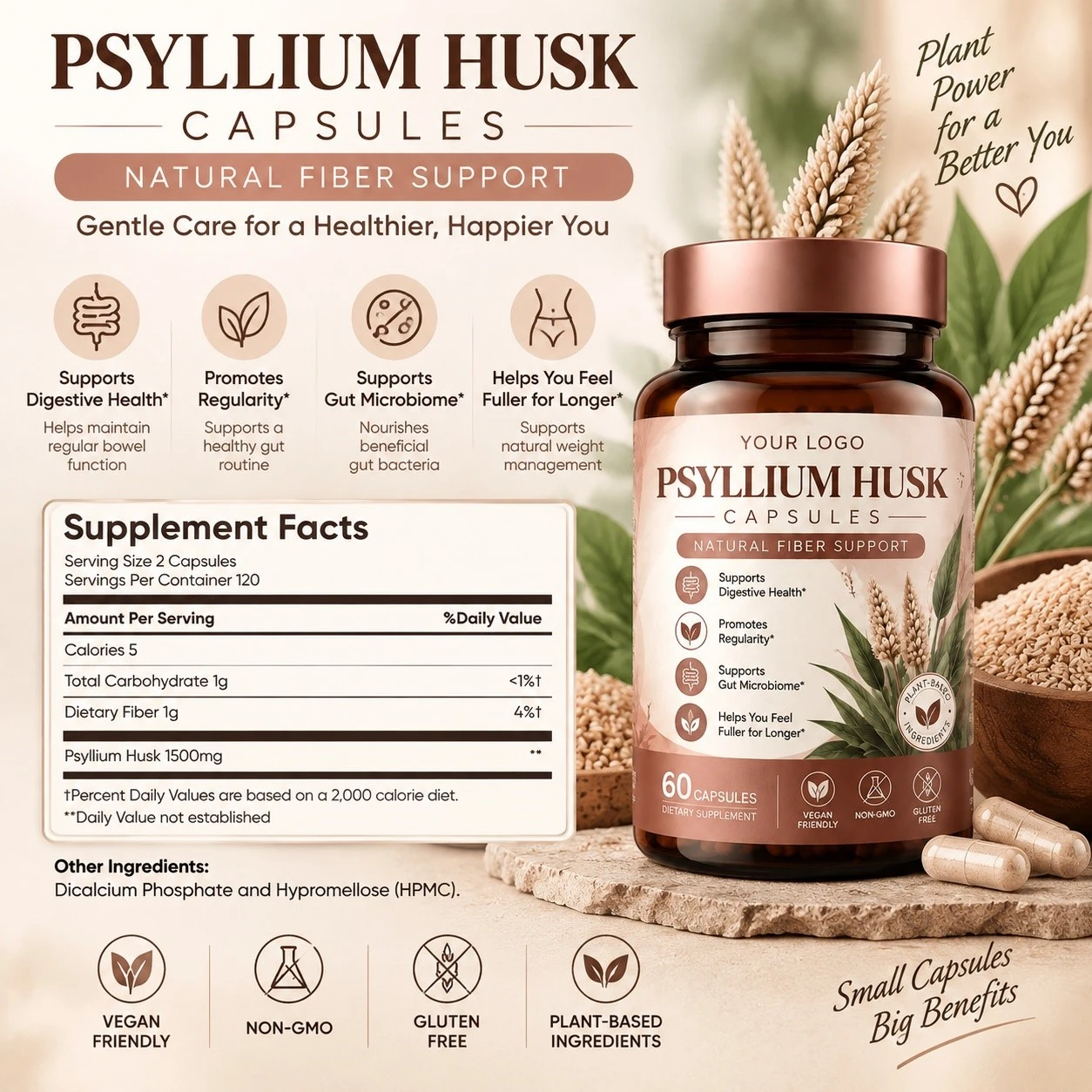 Psyllium Husk Capsules4 Psyllium Husk Capsules4